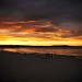 noosa's beach at sunset