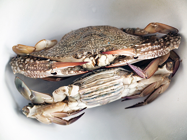 Chubby Hubby A Light But Flavorful Crab Pasta With An Aromatic