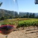 Drinking_By_The_Vines