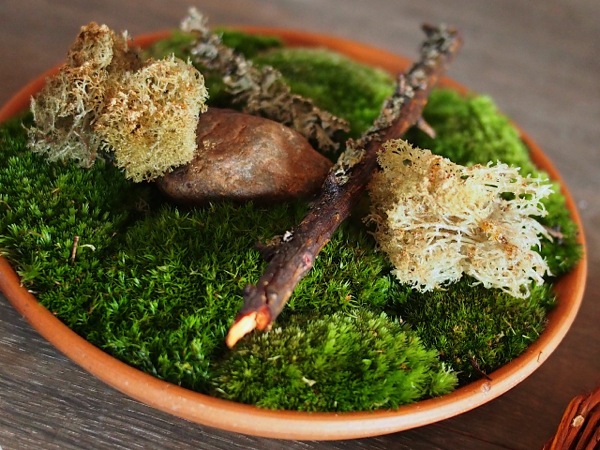 Who knew lichen could be so tasty. Fried to a fragile crisp and sprinkled with cep powder, crunchy umami flavors come alive on the palate.