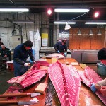 Tohoku, a region of great seafood and gorgeous meat