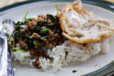 Stir-fried minced chicken with holy basil (pad grapao gai)