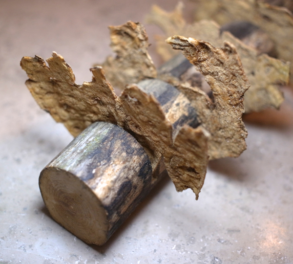 Jerusalem artichoke bark with cep